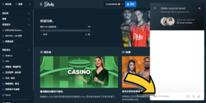 Stake.com 體育博彩客戶服務