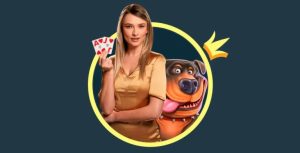 Stake 什麼是 Stake VIP 公關(Host)?